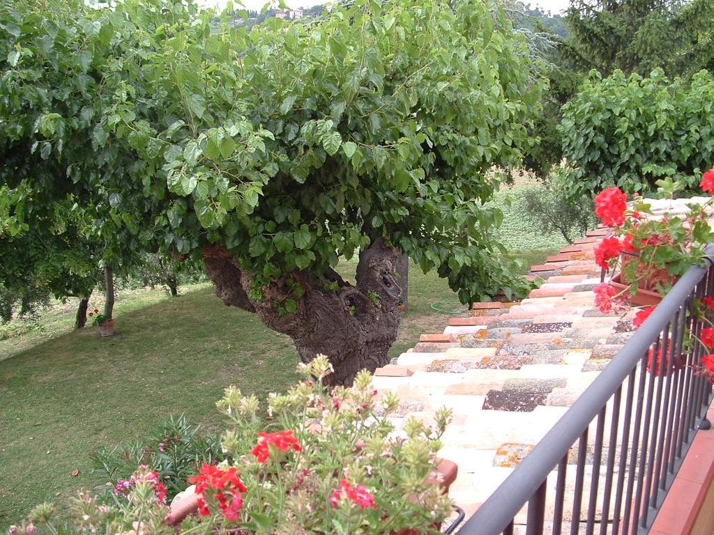 Agriturismo Il Bacucco Montecarotto Buitenkant foto