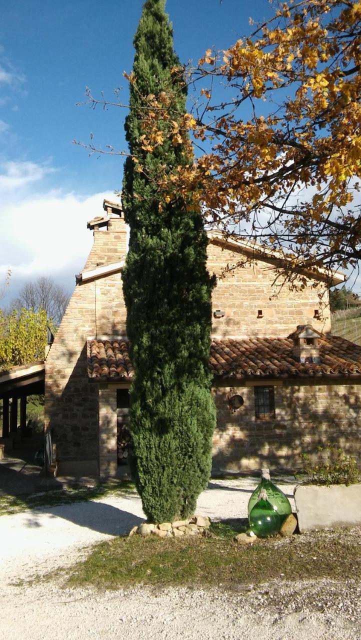 Agriturismo Il Bacucco Montecarotto Buitenkant foto