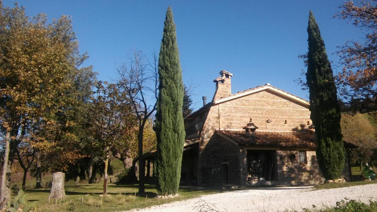 Agriturismo Il Bacucco Montecarotto Buitenkant foto