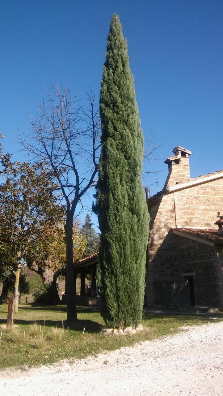 Agriturismo Il Bacucco Montecarotto Buitenkant foto